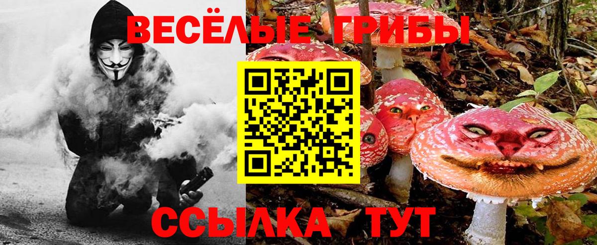 Галлюциногенные грибы Psilocybe  Вход с VPN  Красный Сулин 