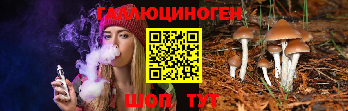 Галлюциногенные грибы мухоморы Красный Сулин